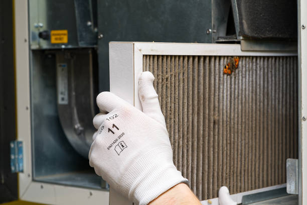 Best HVAC System Cleaning  in Lopezville, TX