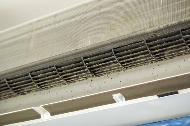 Best Affordable Air Duct Cleaning  in Lopezville, TX
